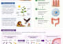 biology notes, presentations and study material